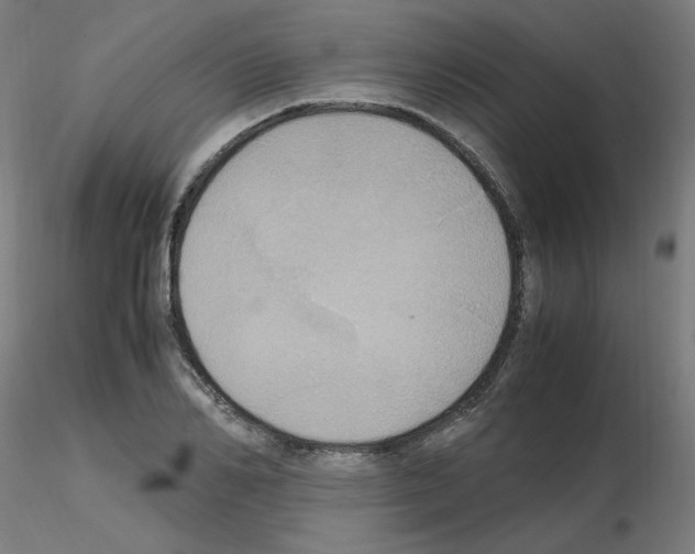 X0000115560982200912181613