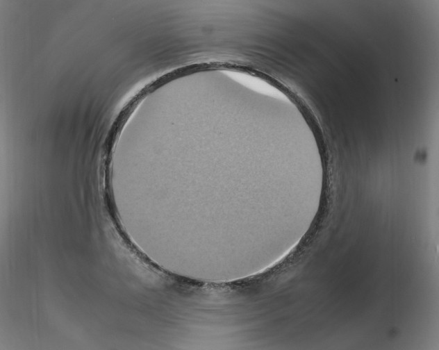 X0000115560983200912181613