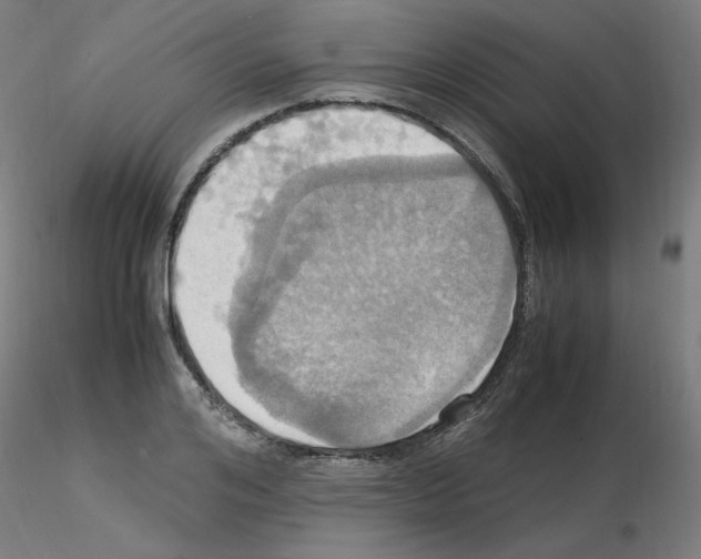 X0000115560984200912181613