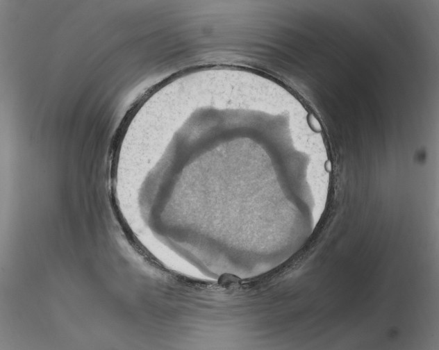 X0000115560987200912181613