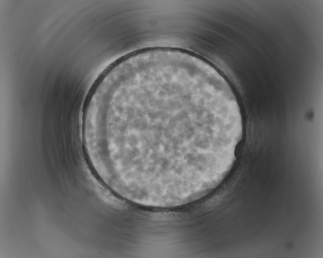 X0000115560988200912181613