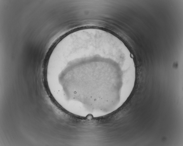 X0000115560991200912181613