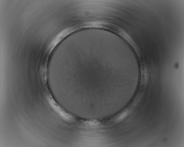 X0000115560994200912181613