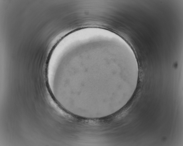 X0000115560995200912181613