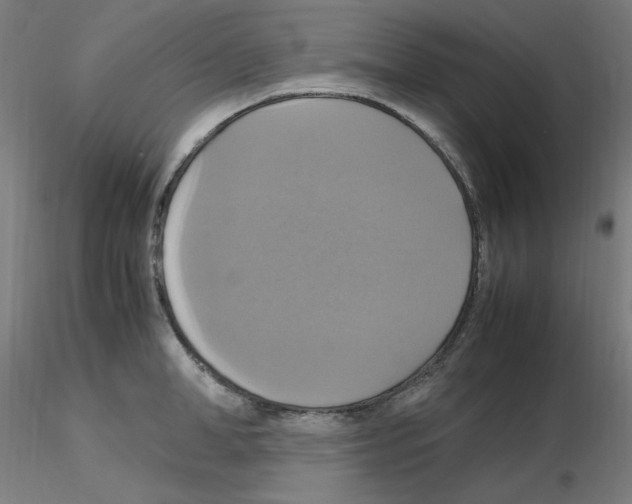 X0000115560998200912181613