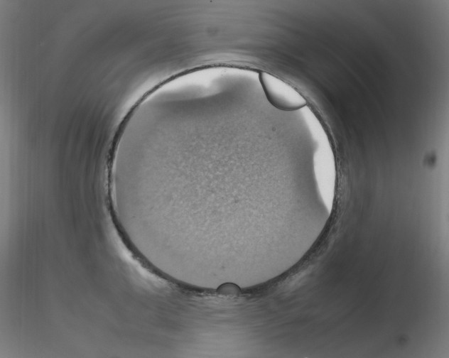 X0000115560999200912181613