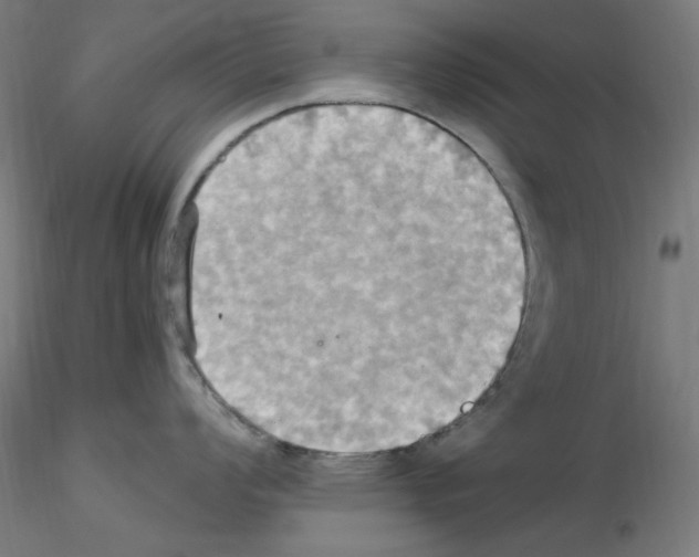 X0000115561008200912181612