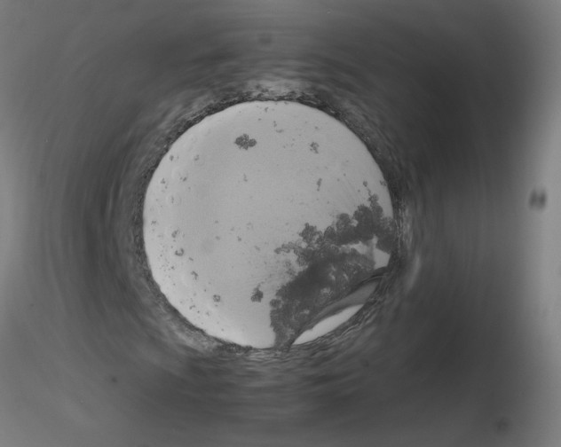 X0000115561009200912181612