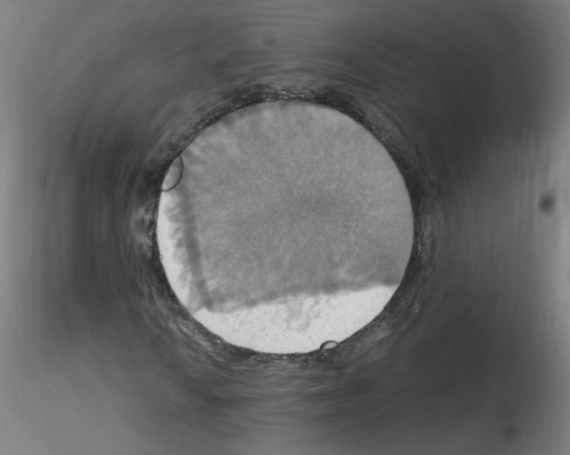 X0000115561010200912181612