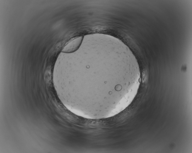 X0000115561011200912181612