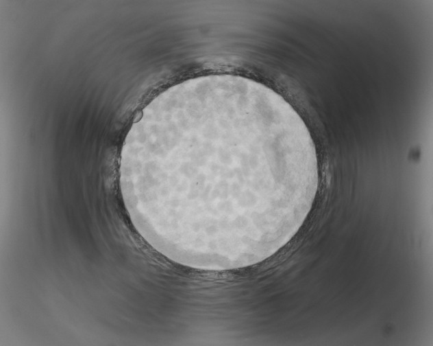 X0000115561012200912181612