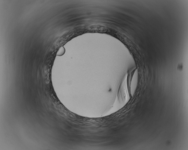 X0000115561013200912181612