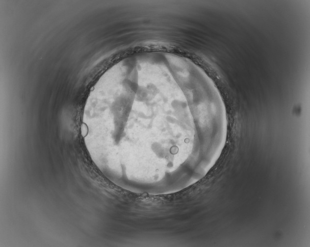 X0000115561015200912181612