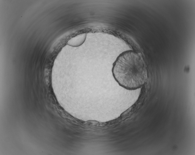 X0000115561016200912181612