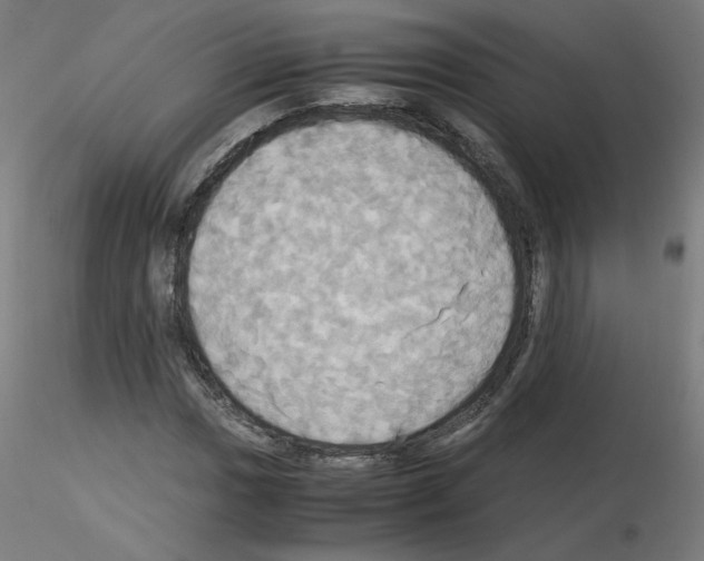 X0000115561017200912181612