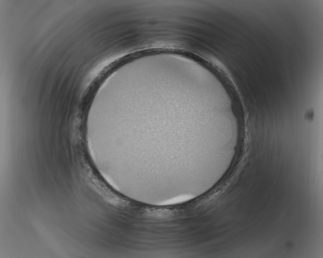 X0000115561019200912181612