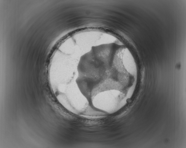 X0000115561021200912181612