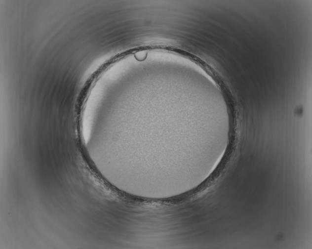 X0000115561022200912181612