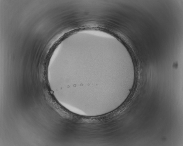 X0000115561023200912181612