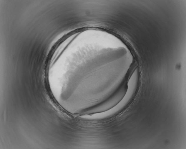 X0000115561024200912181612