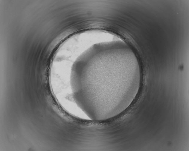 X0000115561026200912181612