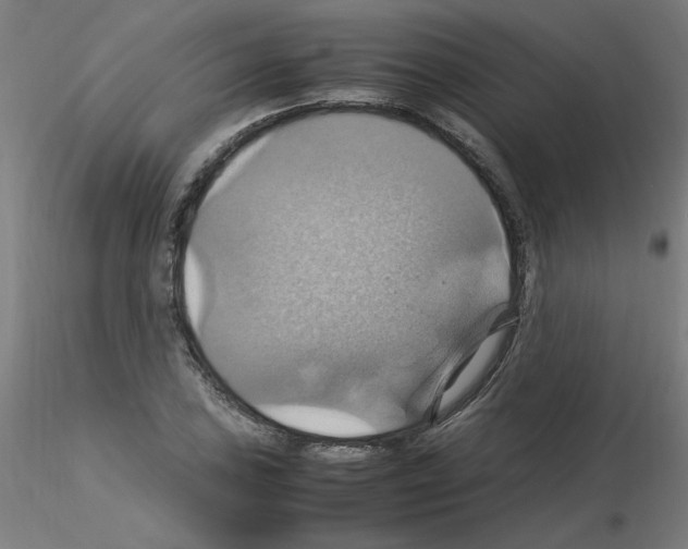 X0000115561027200912181612