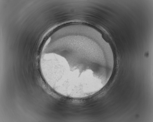 X0000115561029200912181612