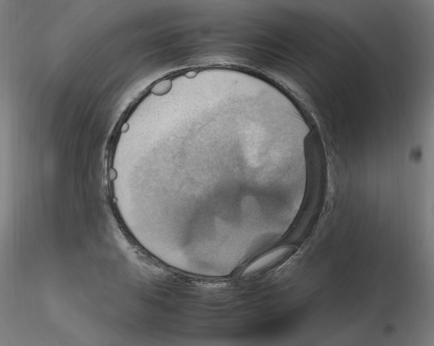 X0000115561031200912181612