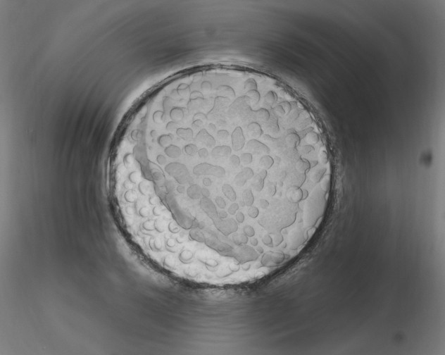 X0000115561032200912181612