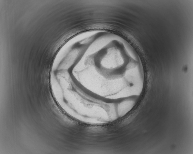 X0000115561033200912181612