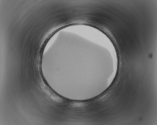 X0000115561035200912181612