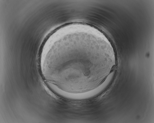 X0000115561037200912181612