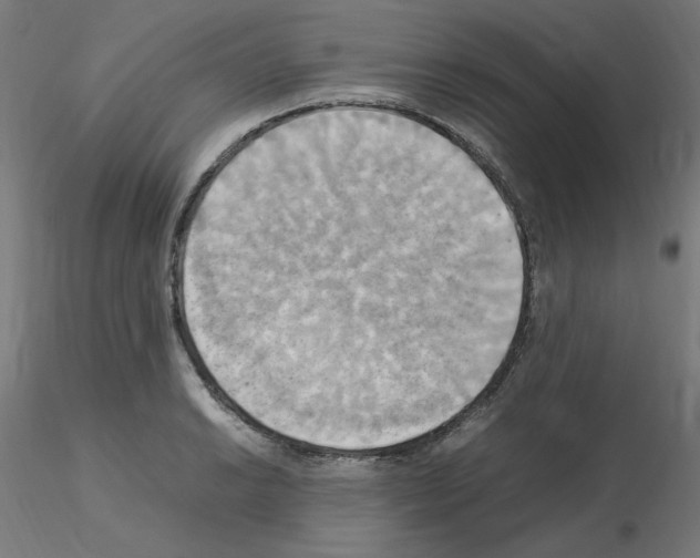 X0000115561038200912181612