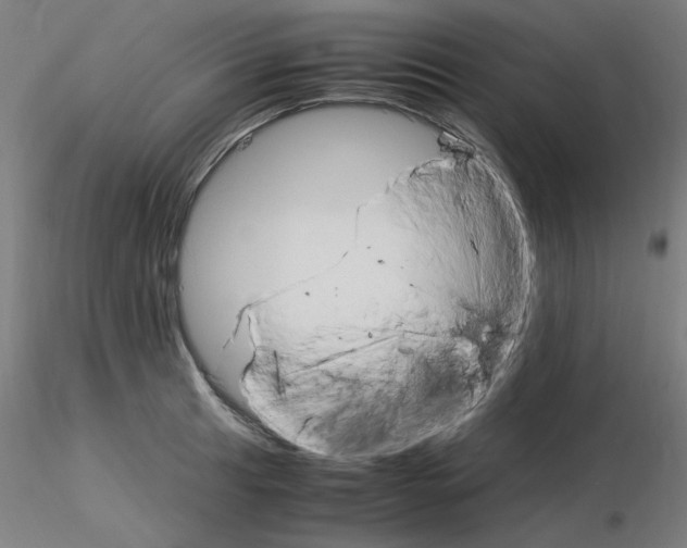 X0000115561041200912181612