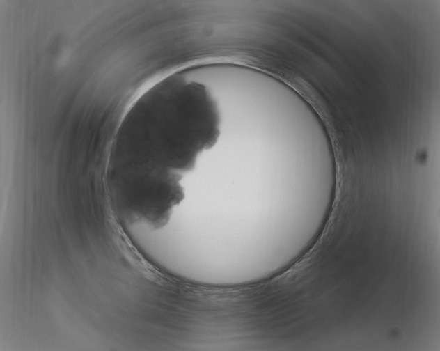 X0000115561044200912181612