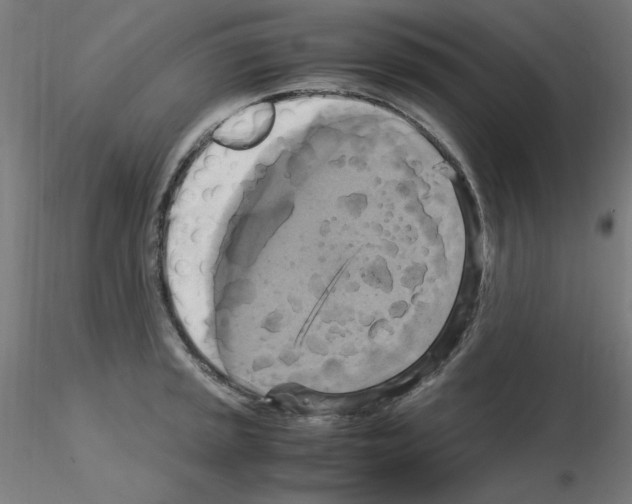 X0000115561045200912181612