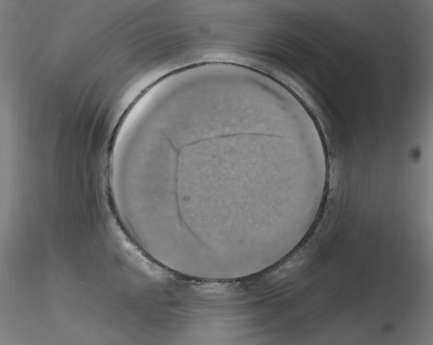 X0000115561048200912181612