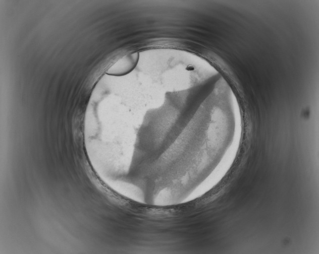 X0000115561049200912181612