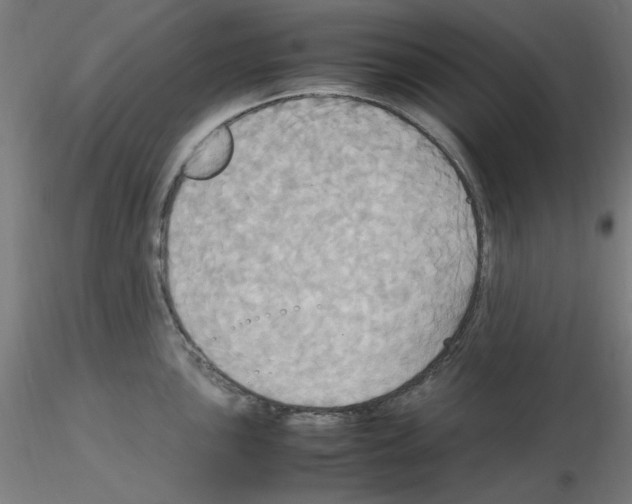 X0000115561051200912181612