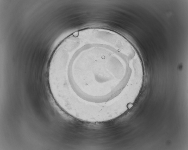 X0000115561053200912181612