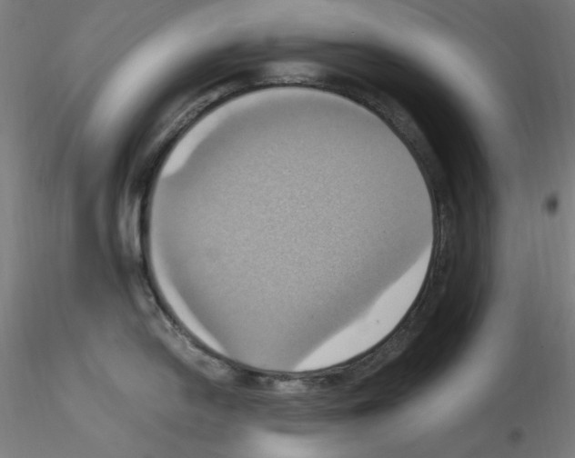 X0000115561054200912181612