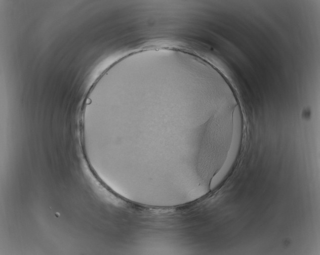 X0000115561055200912181612