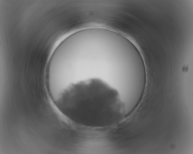 X0000115561056200912181612