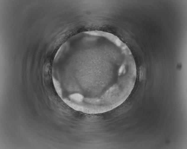 X0000115561059200912181612