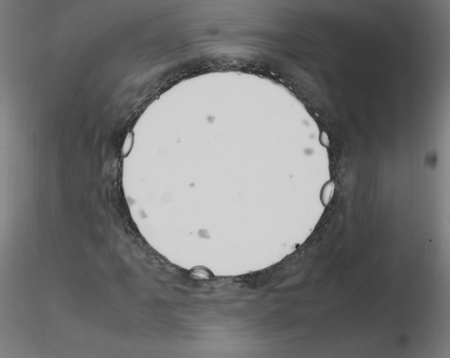 X0000115561061200912181612