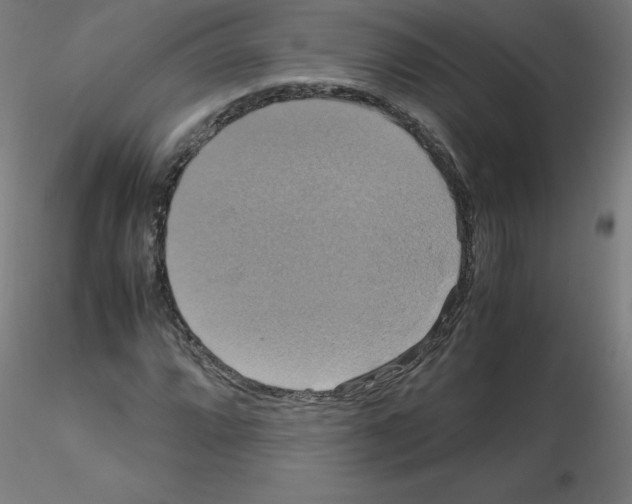 X0000115561064200912181612