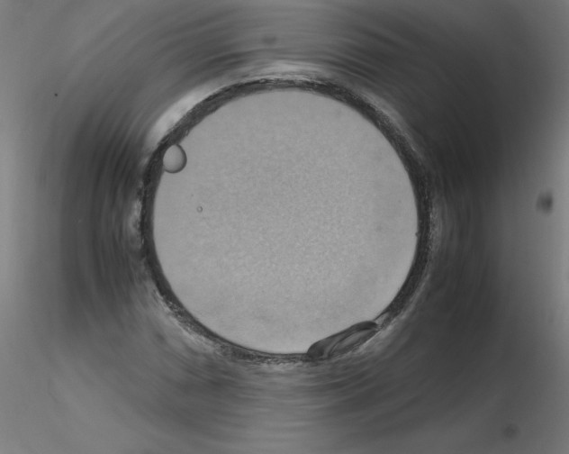 X0000115561066200912181612