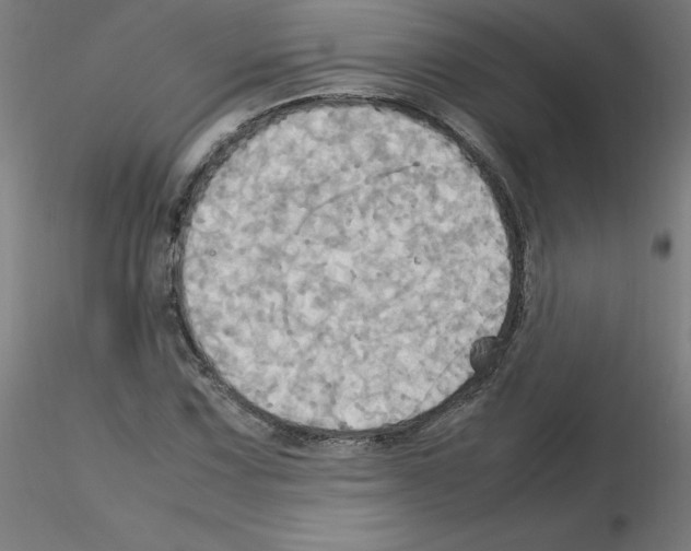 X0000115561067200912181612