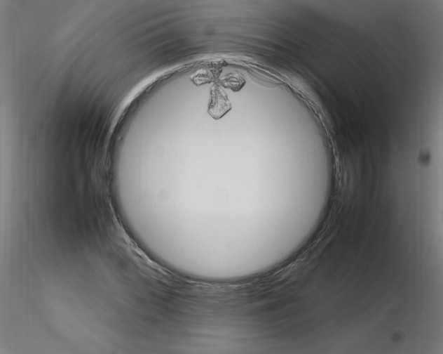 X0000115561068200912181612