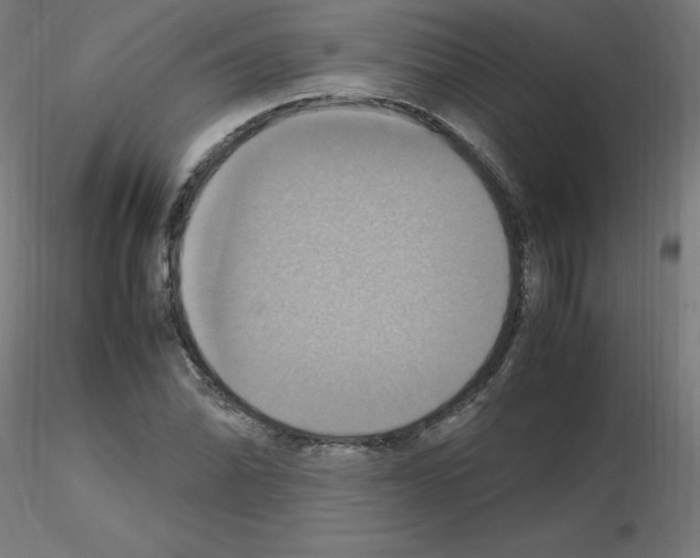 X0000115561070200912181612